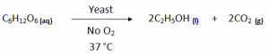 Fermentation - Preperatio of Alcohol