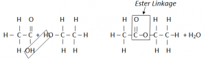 Esterification