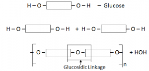 Glucose - Glucosidic Linkage Macro Molecules